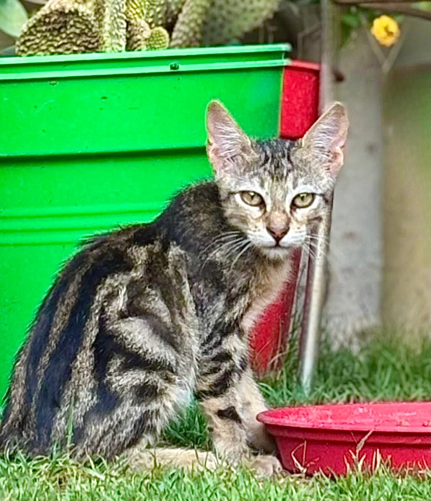Artistic Portrait